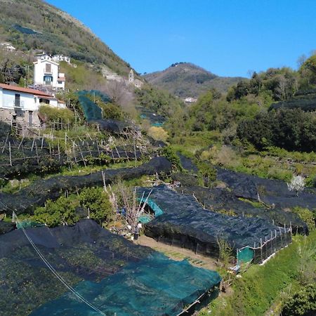 Antica Cartiera Sant'Elia Apartment Tramonti Bagian luar foto