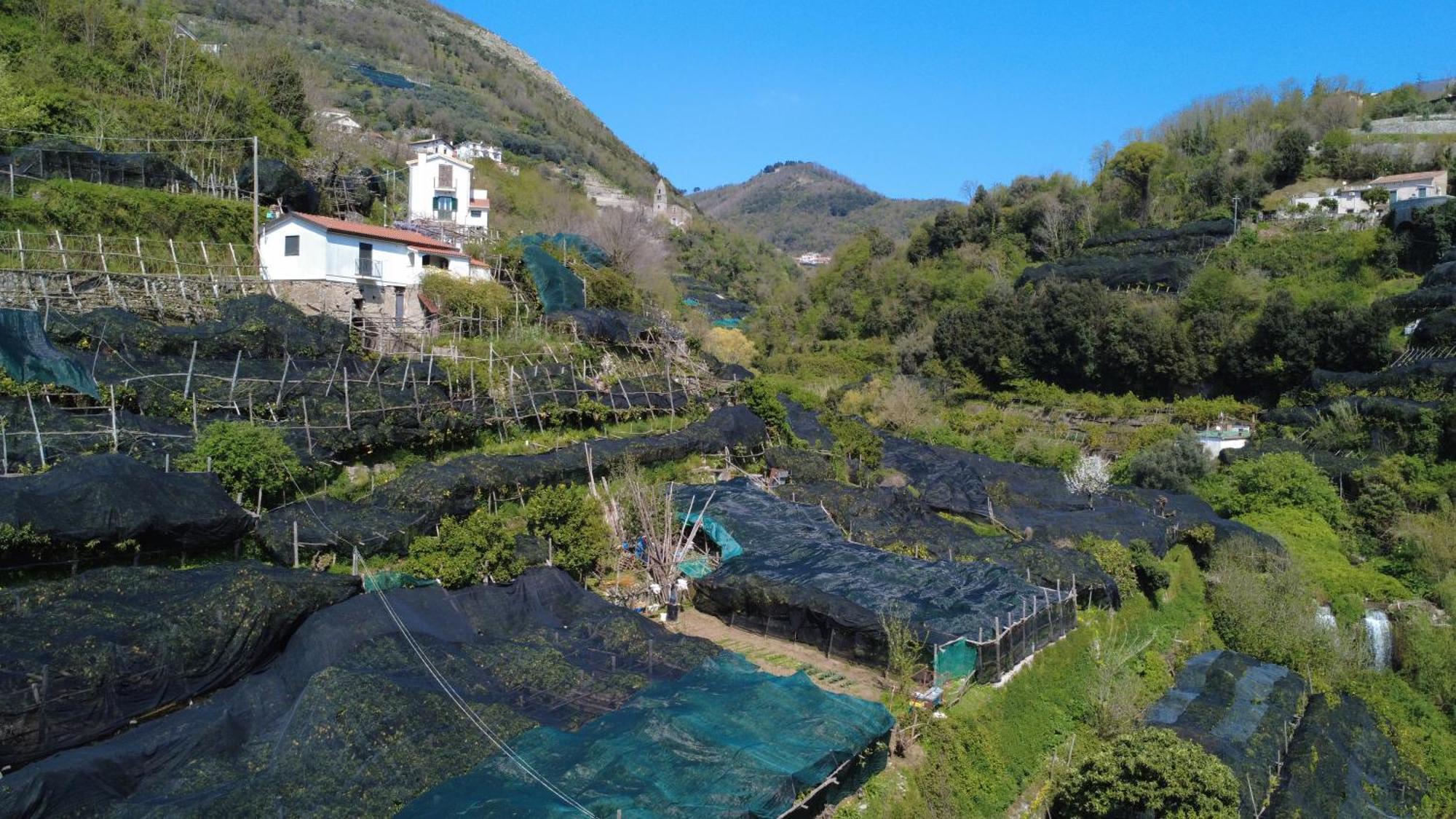 Antica Cartiera Sant'Elia Apartment Tramonti Bagian luar foto